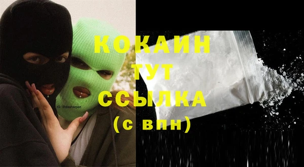 сатива Белокуриха