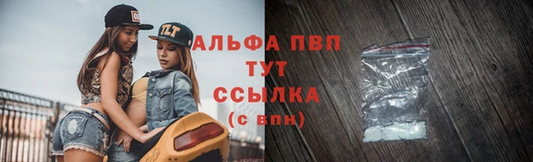 сатива Белокуриха