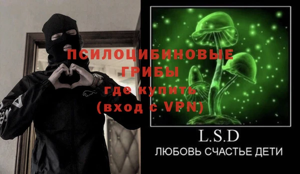 сатива Белокуриха