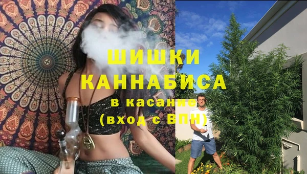 сатива Белокуриха