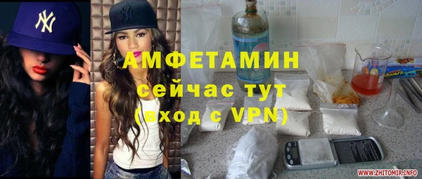 сатива Белокуриха