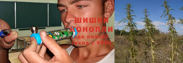 сатива Белокуриха