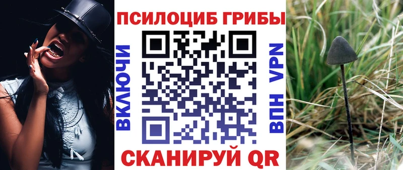 маркетплейс клад  Вилюйск  Галлюциногенные грибы Psilocybe  как найти закладки 