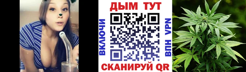 купить наркотики цена  Вилюйск  Шишки марихуана сатива 